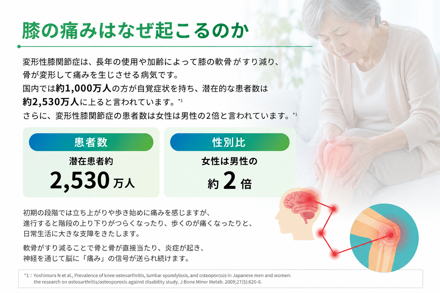膝の痛みはなぜ起こるのかを説明した図